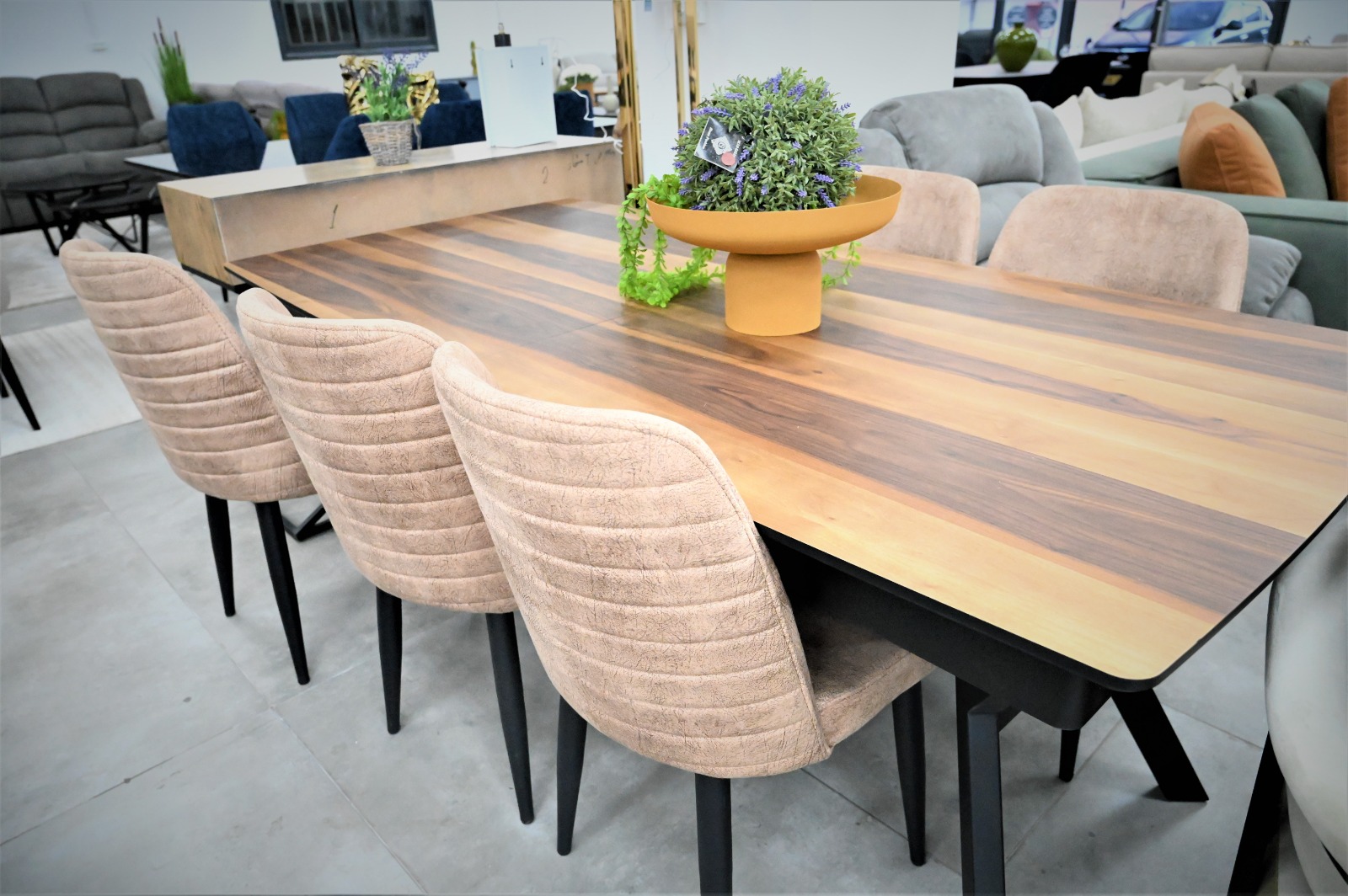 WhatsApp Image 2023-03-02 at 9.01.39 PM.jpeg